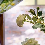 Apartament Il Di Patrizia