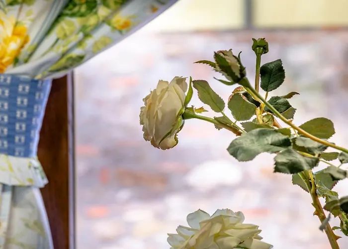 Lägenhet Il Di Patrizia